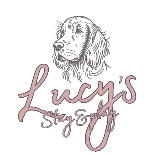 Lucy's Stay and Play Logo